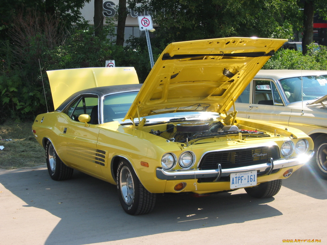 , dodge